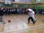 Pierwszy Dzień Wiosny