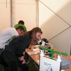 Piknik Naukowy