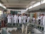 W Reaktorze Atomowym
