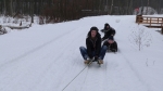 Kulig 1M
