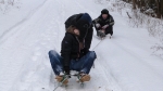 Kulig 1M