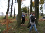 Wolontariusze