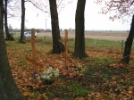 Wolontariusze