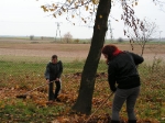 Młodzi Wolontariusze