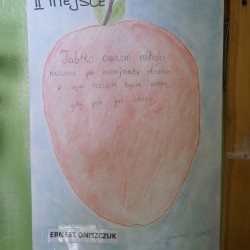 Jabłka_10
