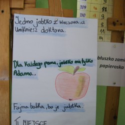 Jabłka_11