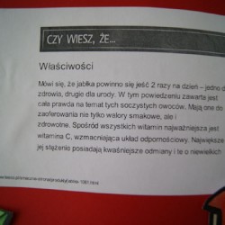 Jabłka_16