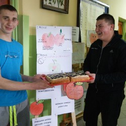 Jabłka_24