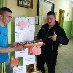 Jabłka_25