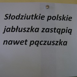 Jabłka_5