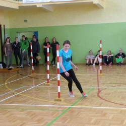 Sjż 2016_28