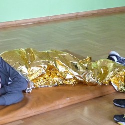 Sjż 2016_30