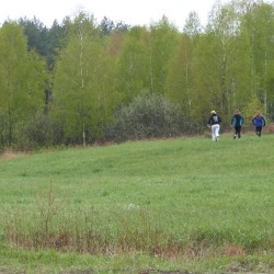 Sjż 2016_45