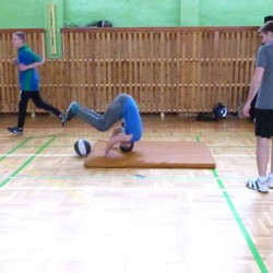 Sjż 2016_8
