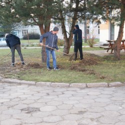 Jesienne porządki
