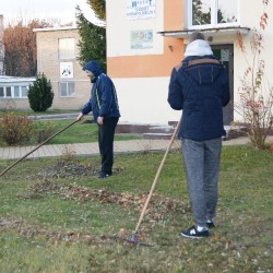 porządki_5