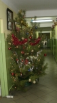 Choinka