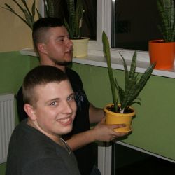 przesadzanie kwiatów