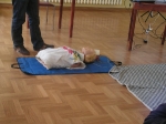 ŚWIATOWY DZIEŃ ZDROWIA - \