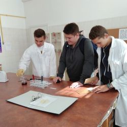 festiwal_naukowy