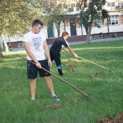sprzątanie