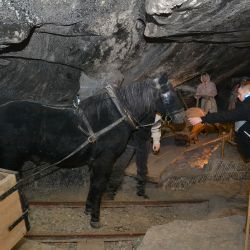 wieliczka