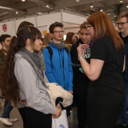 targi lublin 2019