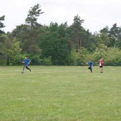 dd22