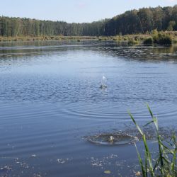 Rajd pieszy klasy czwartej